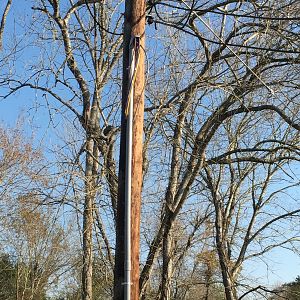 electrifiedservices.com - Pearland - IMG_1884.JPG